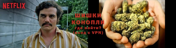 МДПВ Волосово
