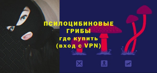МДПВ Волосово
