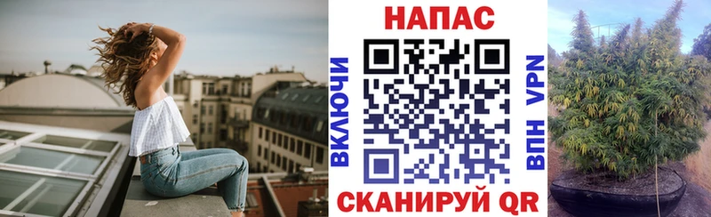 Шишки марихуана тримм  Купить закладки  Строитель 